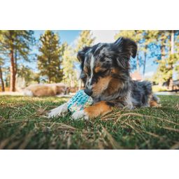 Ruffwear Giocattolo per Cani Morel™ - Blue Prism