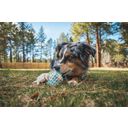 Ruffwear Giocattolo per Cani Morel™ - Blue Prism