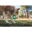 Ruffwear Morel™ Hundespielzeug - Moss Green