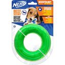 Nerf Scentology Solid Core Ring - 1 Stk