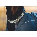 Front Range™ Hundehalsband Mountains Logo - 51 - 66 cm