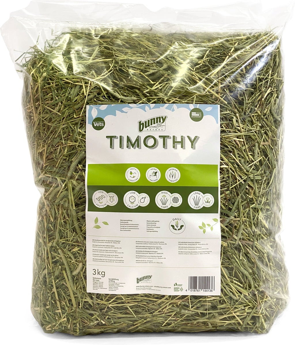 bunny TIMOTHY