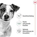 Royal Canin Mini Adult - 4 kg