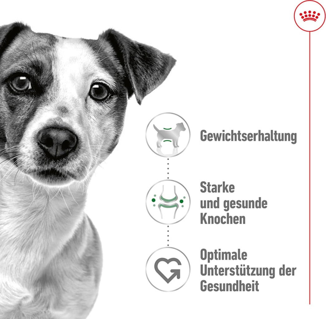 Royal Canin Mini Adult - 2 kg