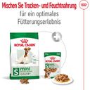 Royal Canin Mini Adult 8+ - 2 kg