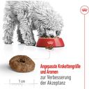 Royal Canin Mini Ageing12+ - 1,5 kg