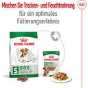 Royal Canin Mini Ageing12+ - 1,5 kg