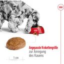 Royal Canin Medium Adult 7+ - 15 kg