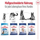 Royal Canin Maxi Adult - 15 kg