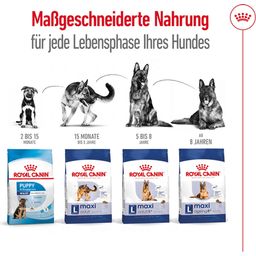 Royal Canin Maxi Adult - 15 kg