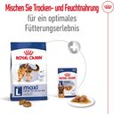 Royal Canin Maxi Adult - 15 kg