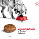 ROYAL CANIN Maxi Adult 5+ - 15 kg