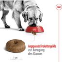 Royal Canin Pasja hrana Maxi Ageing 8+  3 kg - 3 kg