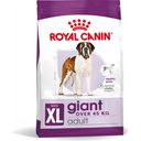 Royal Canin Pasja hrana Giant Adult - 15 kg