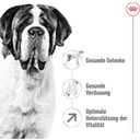 Royal Canin Giant Adult - 15 kg