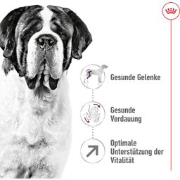 Royal Canin Giant Adult - 15 kg