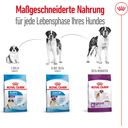 Royal Canin Giant Adult - 15 kg