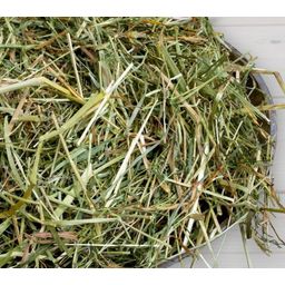 bunny FrischGras Heu Natur Pur - 750 g