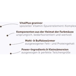 bunny FarbmausTraum EXPERT - 500 g