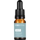 VET CBD - Estratto Premium 10