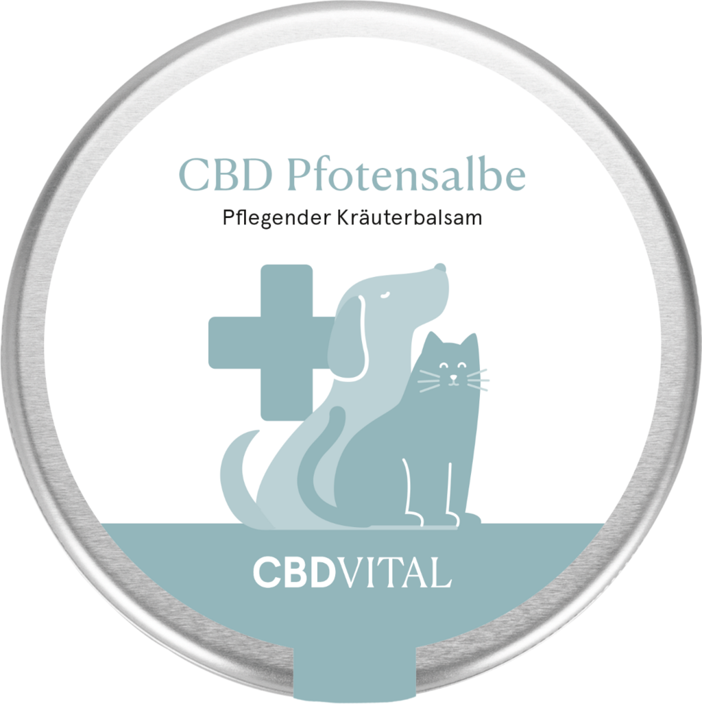 CBD VITAL CBD Pfotensalbe - 100 ml