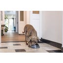 Designed by Lotte Melamin Katzennapf Meis Schwarz - 700 ml