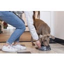 Designed by Lotte Melamin Katzennapf Meis Schwarz - 700 ml