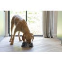 Designed by Lotte Melamin Katzennapf Meis Schwarz - 700 ml