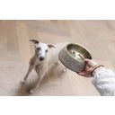 Designed by Lotte Melamin Katzennapf Meis Beige - 350 ml