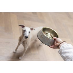 Designed by Lotte Melamin Katzennapf Meis Beige - 350 ml