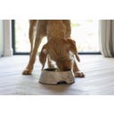 Designed by Lotte Melamínová miska pre mačky Meis Beige - 700 ml