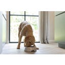 Designed by Lotte Melamínová miska pre mačky Meis Beige - 700 ml