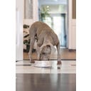 Designed by Lotte Melamínová miska pre mačky Meis Beige - 700 ml