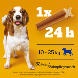 Pedigree Dentastix Multipack medium