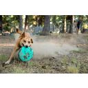 Ruffwear Hover Craft Toy Aurora Teal Large