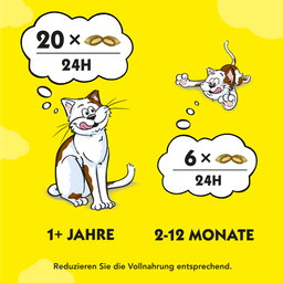 Dreamies Katzensnacks mit Katzenminze