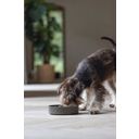 Designed by Lotte Bamb Antischlingnapf Hund Pom Grau - 17 cm