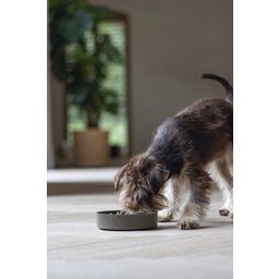 Designed by Lotte Bamb Antischlingnapf Hund Pom Grau - 17 cm