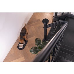 Designed by Lotte Silik Platzset Oona Anthrazit - 55x30 cm