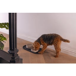 Designed by Lotte Silik Platzset Oona Anthrazit - 55x30 cm