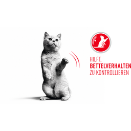 ROYAL CANIN Appetite Control