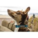 Ruffwear Hi & Light Hundehalsband Blue Dusk