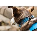 Ruffwear Collare per Cani Hi & Light - Blue Dusk