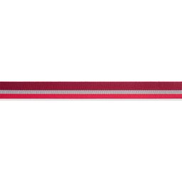 Ruffwear Collare per Cani Crag - Cindercone Red