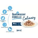 Happy Cat Meat in Sauce Forelle Frischebeutel - 85 g