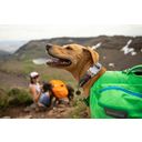 Ruffwear Top Rope pasja ovratnica, Sunset