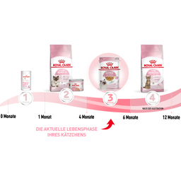 Royal Canin Kitten Nassfutter in Gelee 12x85 g