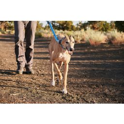 Ruffwear Web Reaction nyakörv - Blue Dusk