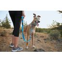 Ruffwear Web Reaction nyakörv - Blue Dusk