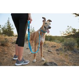 Ruffwear Web Reaction nyakörv - Blue Dusk